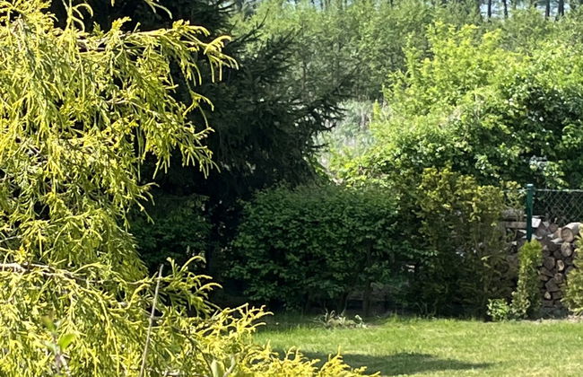 Apartamento de 2 quartos em Golczewo com jardim e terraço - Foto 7