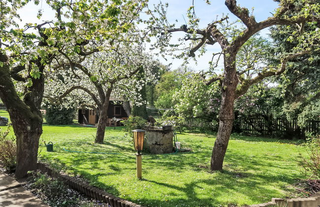 Casa de 3 quartos em Bad Muskau com jardim e terraço - Foto 17