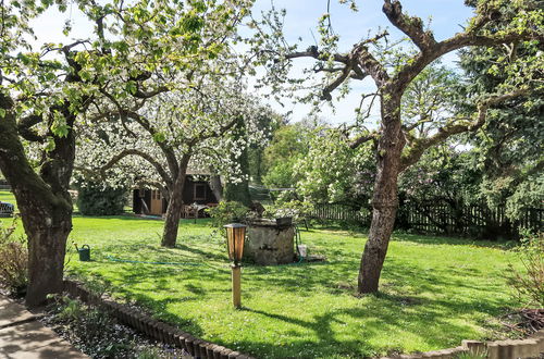 Photo 17 - Maison de 1 chambre à Bad Muskau avec jardin et terrasse