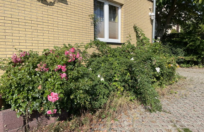 Apartamento de 2 quartos em Mirow com jardim - Foto 16