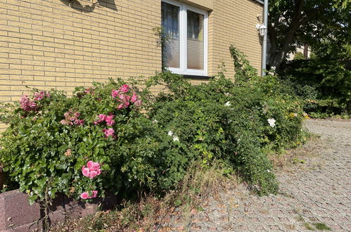 Foto 16 - Apartment mit 1 Schlafzimmer in Mirow mit garten