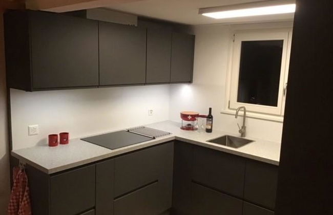 Apartamento de 4 quartos em Lenk com sauna - Foto 17