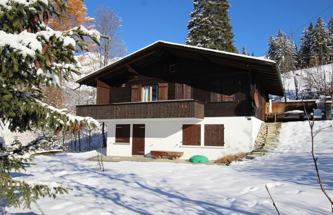 Apartamento de 4 quartos em Lenk com sauna - Foto 7
