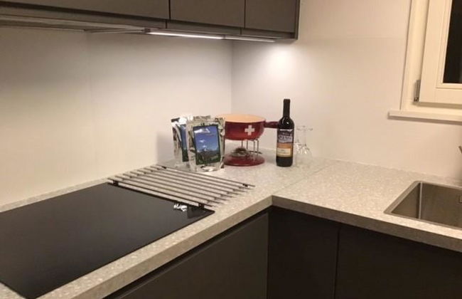 Apartamento de 4 quartos em Lenk com sauna - Foto 20