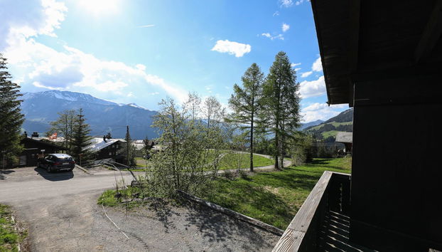 4 bedroom Apartment in Lenk with sauna - Photo 4