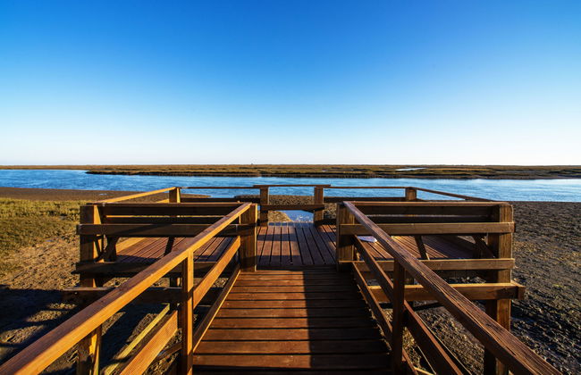 Casa de 4 quartos em Tavira com piscina e jardim - Foto 37