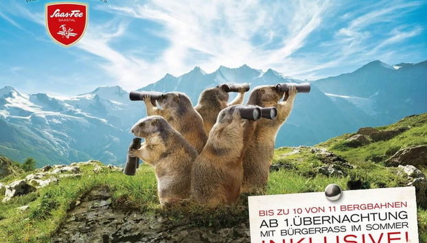 Apartamento de 2 quartos em Saas-Fee - Foto 4