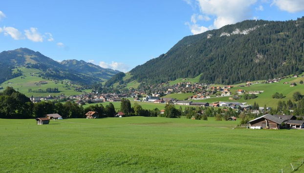 Apartment mit 2 Schlafzimmern in Zweisimmen - Foto 5