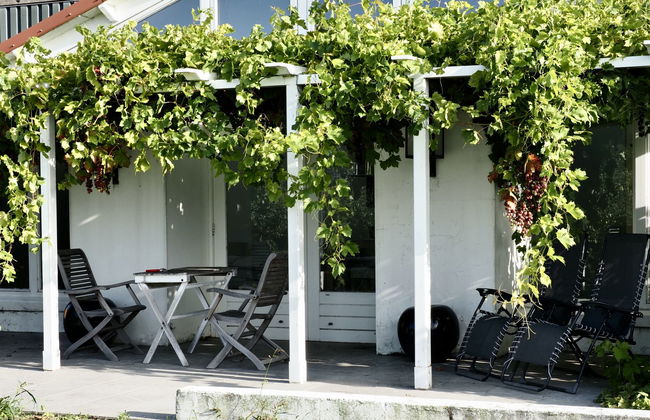 Casa de 1 quarto em Zaamslag com jardim e terraço - Foto 22