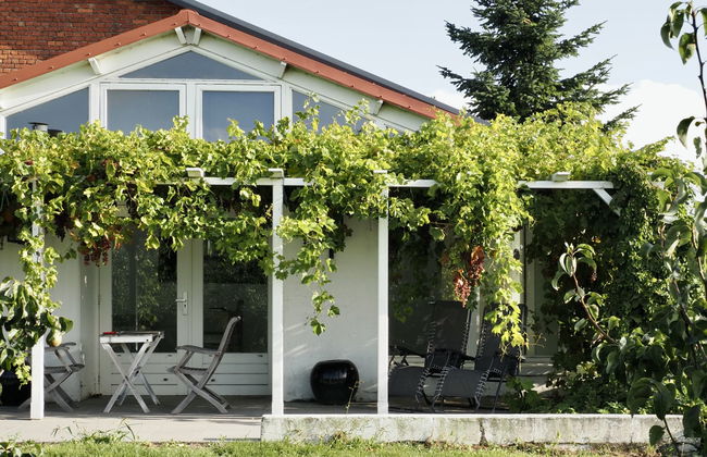 Casa de 1 quarto em Zaamslag com jardim e terraço - Foto 6
