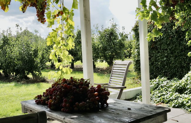 Casa de 1 quarto em Zaamslag com jardim e terraço - Foto 19