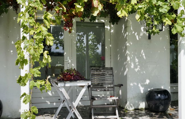 Casa de 1 quarto em Zaamslag com jardim e terraço - Foto 7