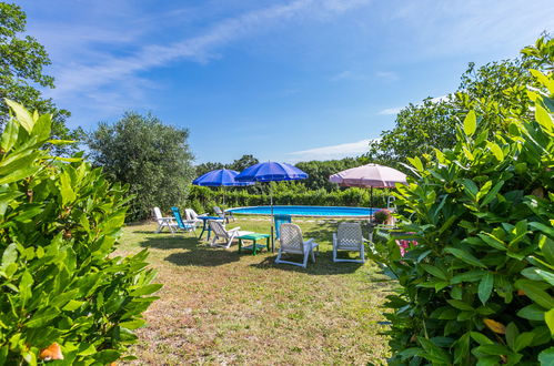 Foto 26 - Appartamento con 1 camera da letto a Follonica con piscina e giardino