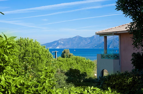 Foto 19 - Appartamento con 2 camere da letto a Saint-Florent con piscina e terrazza