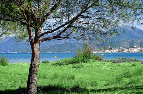 Foto 20 - Appartamento con 2 camere da letto a Saint-Florent con piscina e terrazza