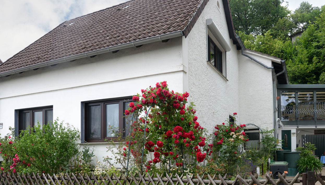Apartamento de 1 quarto em Schieder-Schwalenberg com jardim e terraço - Foto 1