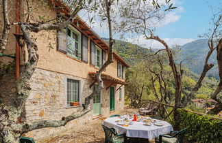 Photo 3 - Maison de 3 chambres à Camaiore avec jardin et terrasse