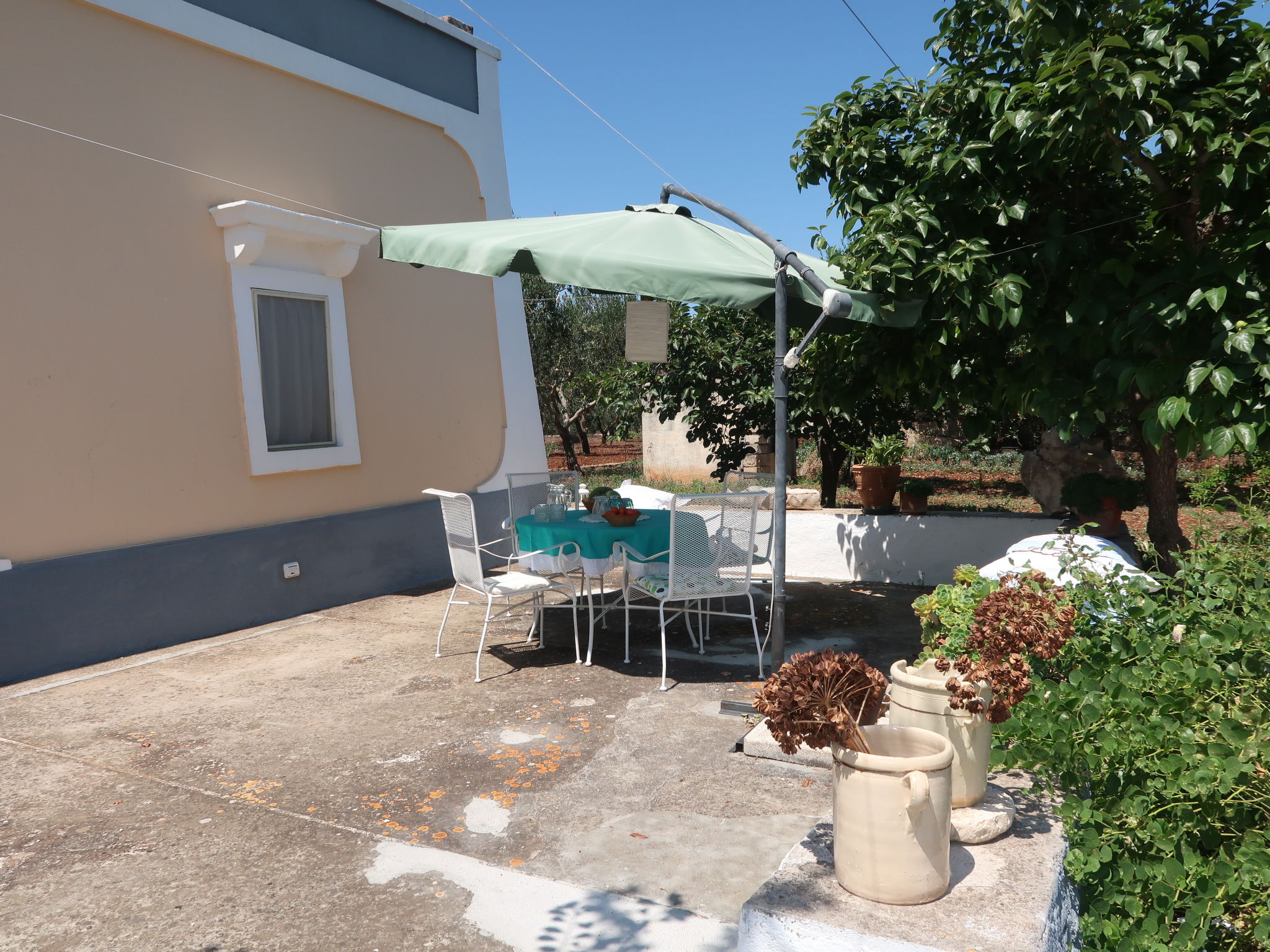 Foto 4 - Haus mit 2 Schlafzimmern in Martina Franca mit garten und blick aufs meer