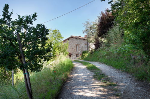 Foto 32 - Casa de 6 habitaciones en Bagno a Ripoli con piscina privada