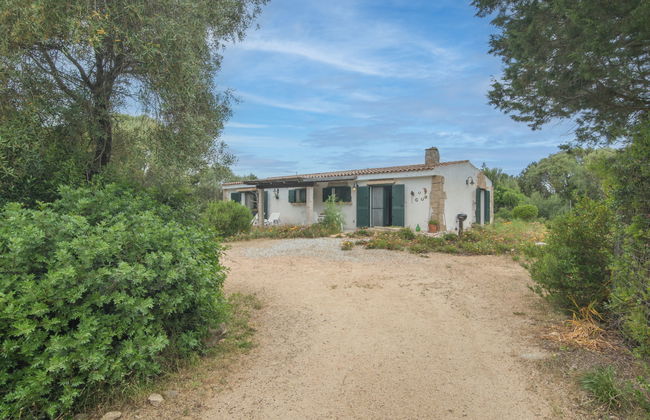 Haus mit 4 Schlafzimmern in Palau mit garten und terrasse - Foto 25