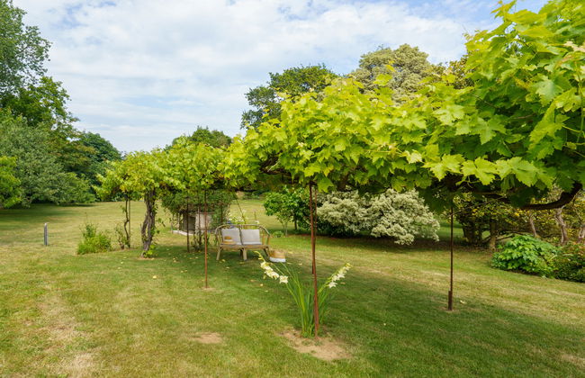 3 bedroom House in Peumerit with garden and terrace - Photo 31