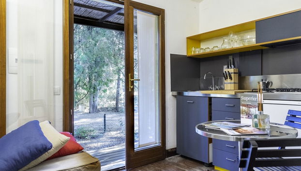 Haus mit 4 Schlafzimmern in Castiglione della Pescaia mit schwimmbad und garten - Foto 5