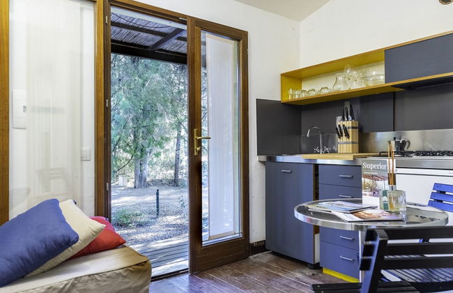Casa de 4 quartos em Castiglione della Pescaia com piscina e jardim - Foto 5