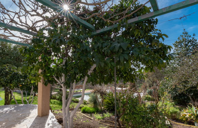 Haus mit 3 Schlafzimmern in Coti-Chiavari mit schwimmbad und garten - Foto 15