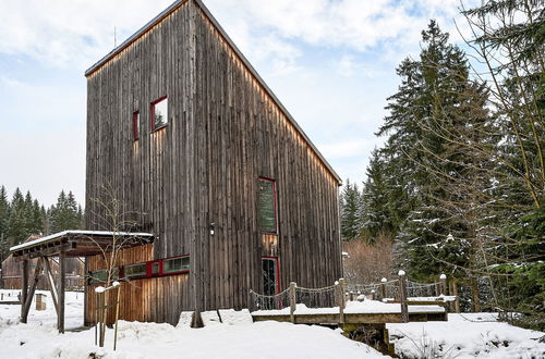 Foto 42 - Haus mit 5 Schlafzimmern in Harrachov mit garten und terrasse