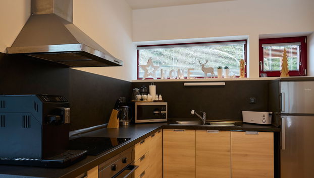 Haus mit 6 Schlafzimmern in Harrachov mit garten und terrasse - Foto 2