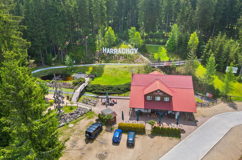 Photo 39 - Apartment in Harrachov with garden