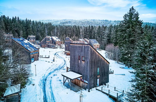 Foto 44 - Haus mit 5 Schlafzimmern in Harrachov mit garten und terrasse