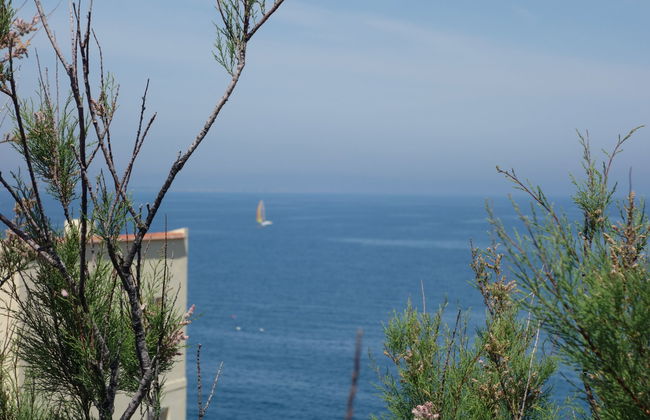 Apartamento de 3 quartos em Collioure - Foto 12
