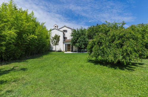 Foto 41 - Haus mit 3 Schlafzimmern in Buzet mit garten und terrasse