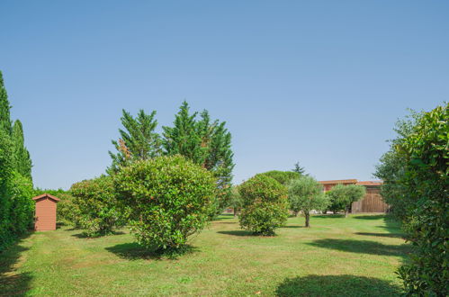 Foto 35 - Apartamento de 3 quartos em Castelfranco di Sotto com piscina e jardim