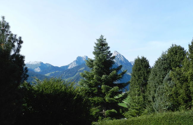 Apartamento de 1 quarto em Saanen - Foto 7