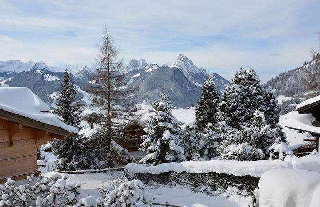 Apartamento de 1 quarto em Saanen - Foto 9