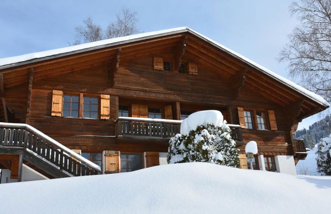 Apartamento de 1 quarto em Saanen - Foto 4