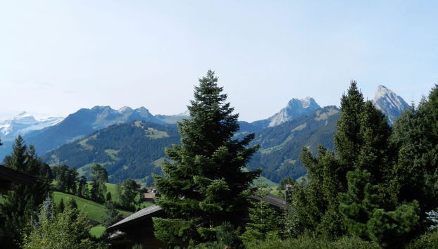 Apartamento de 1 quarto em Saanen - Foto 5
