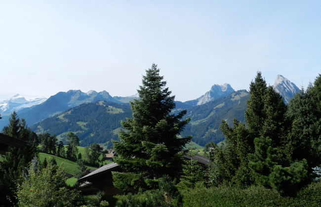 Apartamento de 1 quarto em Saanen - Foto 5