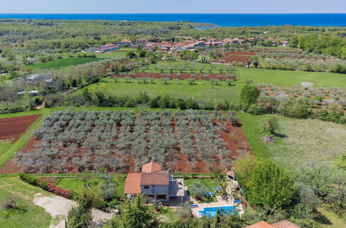 Foto 2 - Casa con 2 camere da letto a Umag con piscina privata e giardino