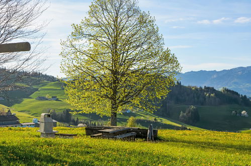 Foto 12 - Appartamento con 2 camere da letto a Schlatt-Haslen con giardino