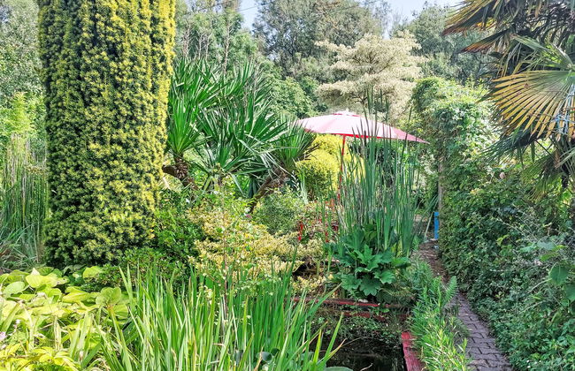 Casa de 2 quartos em Plérin com jardim - Foto 17