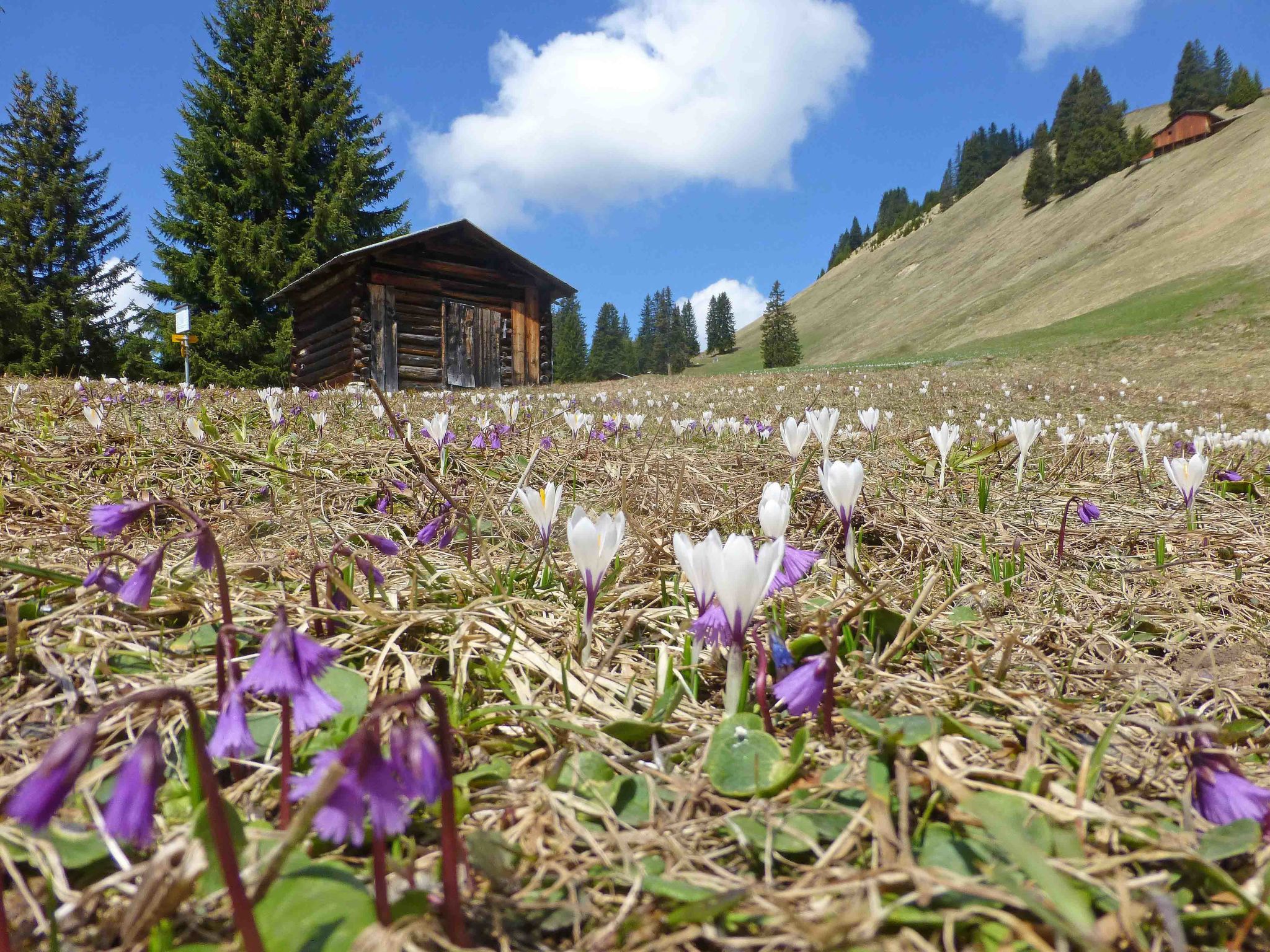 Foto 7 - Apartamento de 3 habitaciones en Luzein con sauna y vistas a la montaña