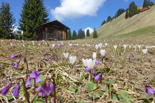 Foto 7 - Appartamento con 3 camere da letto a Luzein con sauna