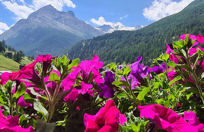 Apartamento de 3 quartos em Saas-Grund - Foto 10