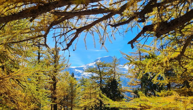 Appartamento con 1 camera da letto a Saas-Grund con giardino - Foto 5