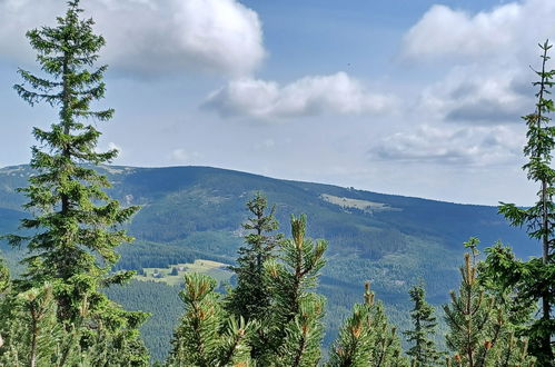 Foto 45 - Haus mit 3 Schlafzimmern in Černý Důl mit schwimmbad und blick auf die berge