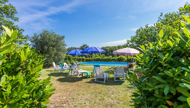 Apartamento de 2 quartos em Follonica com piscina e jardim - Foto 4