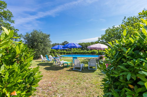 Foto 4 - Apartamento de 1 habitación en Follonica con piscina y jardín